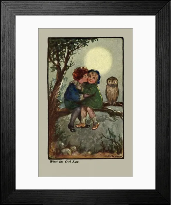Framed Print : What the owl saw Framed Print : What the owl saw