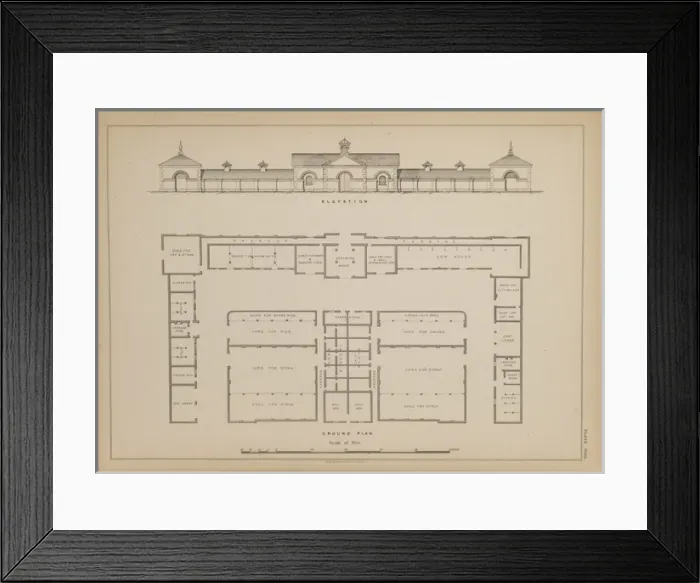Framed Print : Pig and Cow Farm at Holkam, Leicester Framed Print : Pig and Cow Farm at Holkam, Leicester