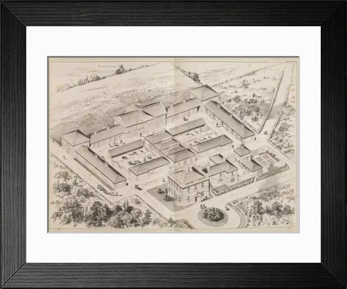 Framed Print : Pig and Cow Farm at Holkam, Leicester Framed Print : Pig and Cow Farm at Holkam, Leicester