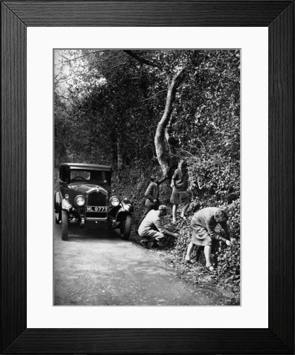 Framed Print : Picking berries by the roadside, 1927 Framed Print : Picking berries by the roadside, 1927