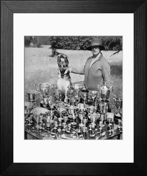 Framed Print : Mrs Thornton - breeder of champion Alsatians Framed Print : Mrs Thornton - breeder of champion Alsatians