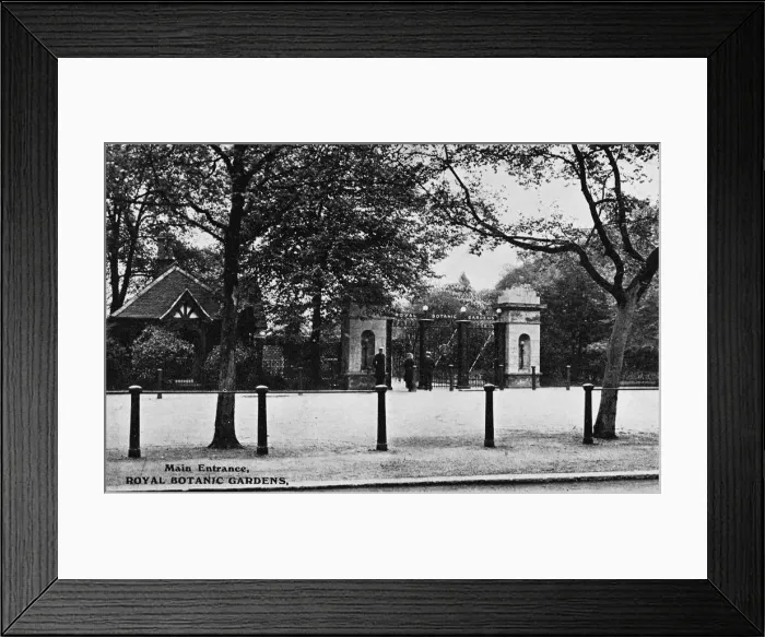 Framed Print : Royal Botanic Gardens, Regents Park, London Framed Print : Royal Botanic Gardens, Regents Park, London