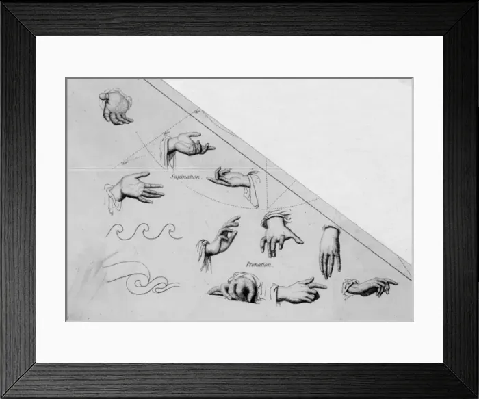 Framed Print : Hands / Various / Anon Framed Print : Hands / Various / Anon