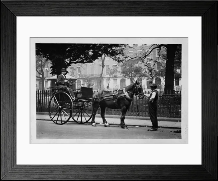 Framed Print : Pony and trap in Dorset Square, NW London Framed Print : Pony and trap in Dorset Square, NW London