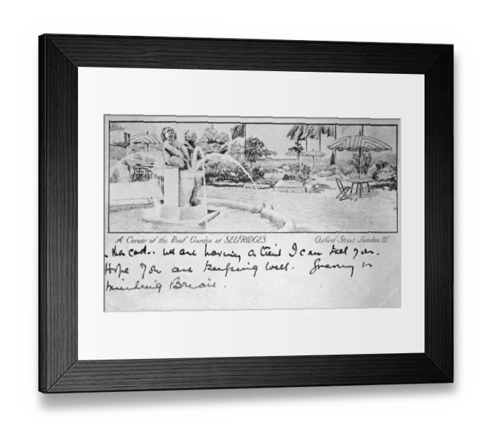 Framed Print : Corner of roof garden, Selfridges, Oxford Street, London Framed Print : Corner of roof garden, Selfridges, Oxford Street, London