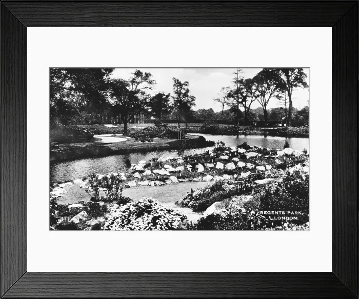 Framed Print : Waterside scene, Regents Park, London Framed Print : Waterside scene, Regents Park, London