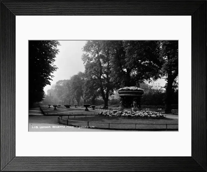 Framed Print : Plants and trees in Regents Park, London Framed Print : Plants and trees in Regents Park, London