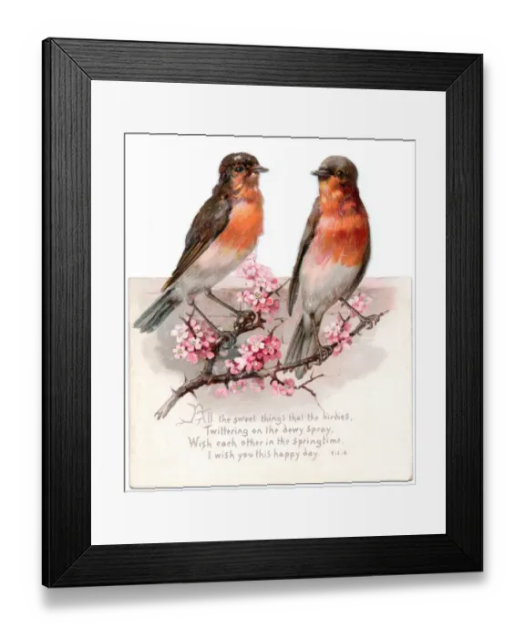 Framed Print : Two robins on a reversible Christmas card Framed Print : Two robins on a reversible Christmas card
