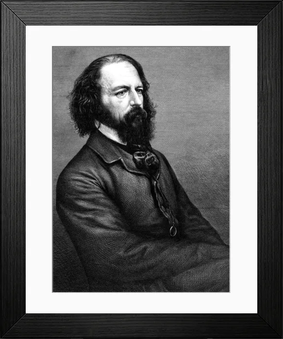 Framed Print : Tennyson Molocle Framed Print : Tennyson Molocle