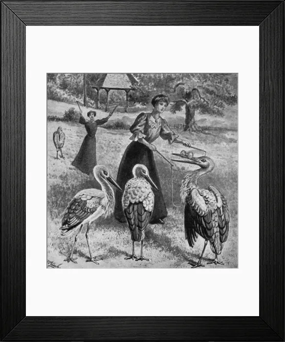 Framed Print : Diabolo on Hampstead Heath, 1907 Framed Print : Diabolo on Hampstead Heath, 1907