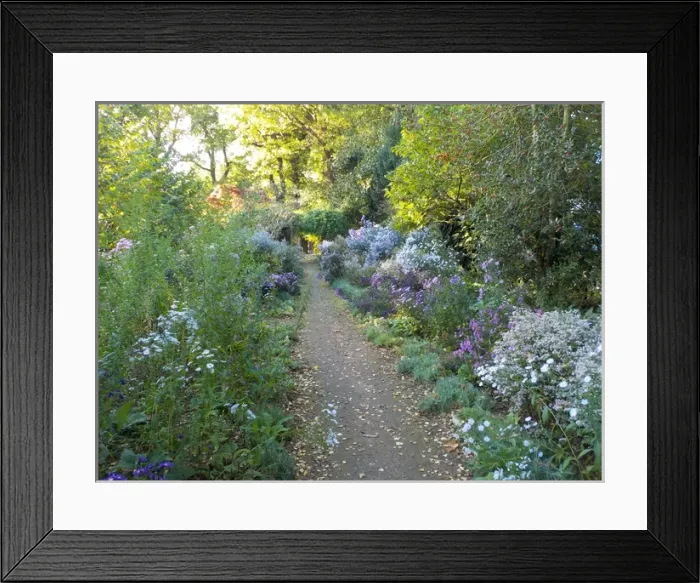 Framed Print : Autumnal Borders at Munstead Wood Framed Print : Autumnal Borders at Munstead Wood