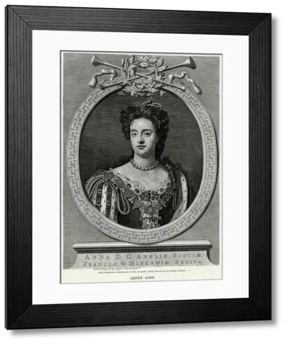 Framed Print : Queen Anne / Van Gunst Framed Print : Queen Anne / Van Gunst