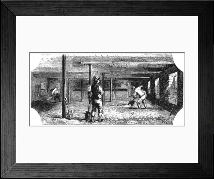 Framed Print : Cultivation of beer Framed Print : Cultivation of beer