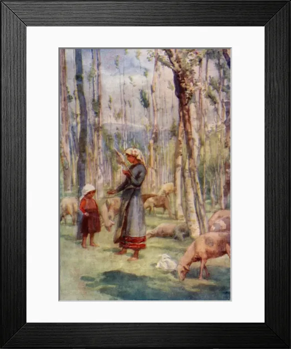 Framed Print : Italian Sheep Girl Framed Print : Italian Sheep Girl