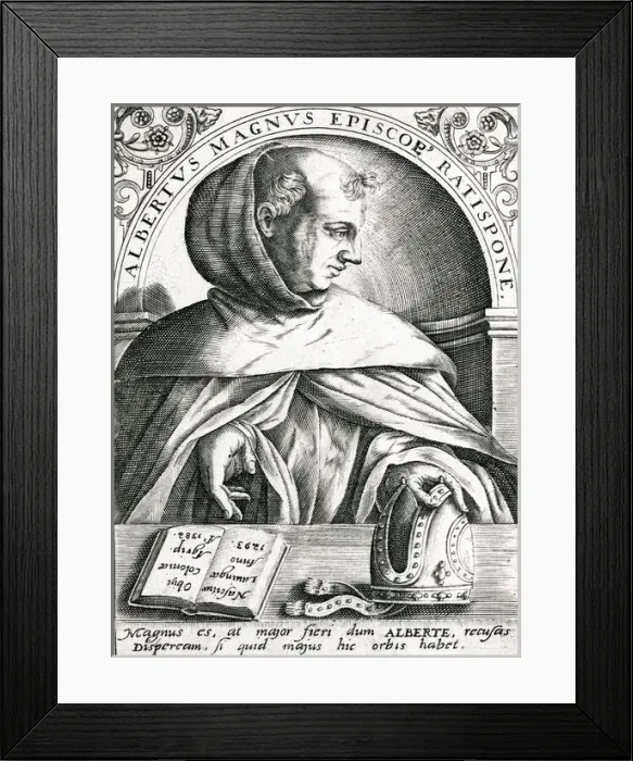 Framed Print : Albertus Magnus Framed Print : Albertus Magnus