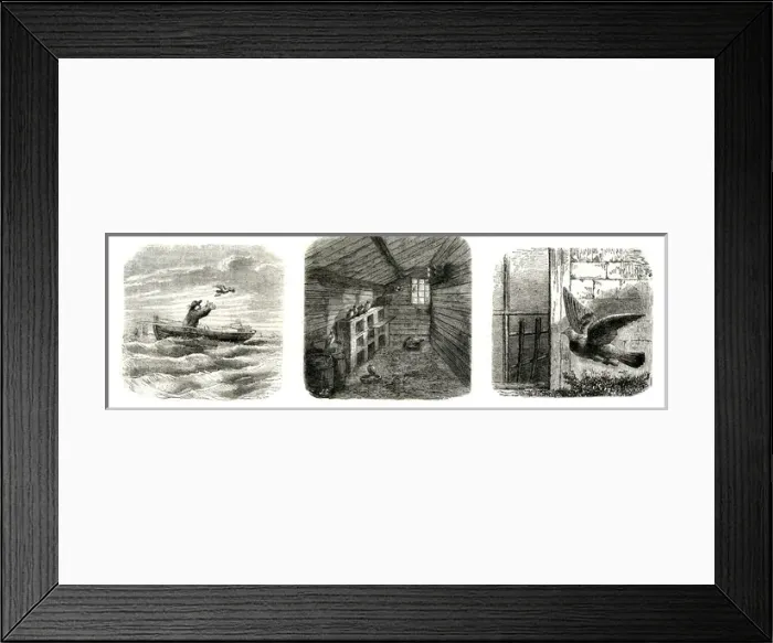 Framed Print : Communications / Press Framed Print : Communications / Press