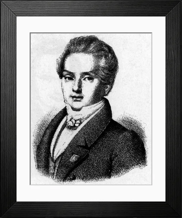 Framed Print : Victor Hugo Framed Print : Victor Hugo