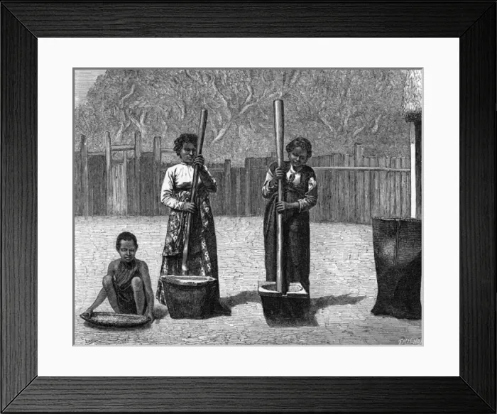 Framed Print : Rice-pounding, Madagascar Framed Print : Rice-pounding, Madagascar