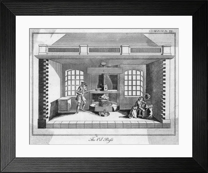 Framed Print : Olive Oil Press Framed Print : Olive Oil Press