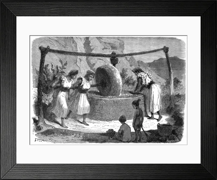 Framed Print : Olive Oil mill Framed Print : Olive Oil mill