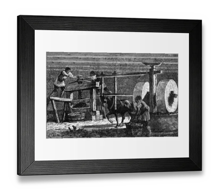 Framed Print : Greek Olive Mill Framed Print : Greek Olive Mill