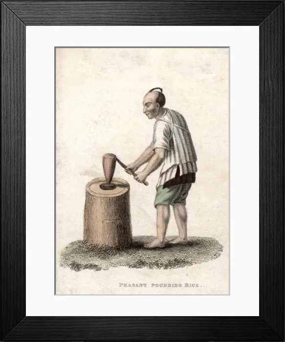 Framed Print : A Chinese peasant pounding rice Framed Print : A Chinese peasant pounding rice
