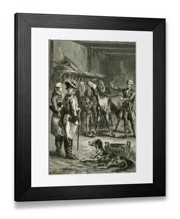 Framed Print : Hypnotising a Horse Framed Print : Hypnotising a Horse