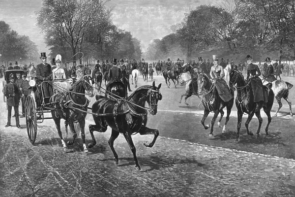 Fashionable riders in Rotten Row, Hyde Park, London
