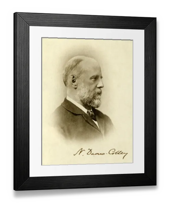 Framed Print : Davies-Colley Framed Print : Davies-Colley