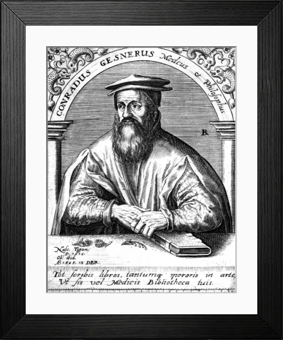 Framed Print : GESNER (1516 - 1565) Framed Print : GESNER (1516 - 1565)