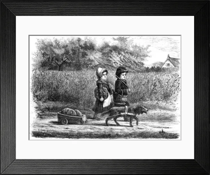 Framed Print : Food and Drink / Bread Framed Print : Food and Drink / Bread