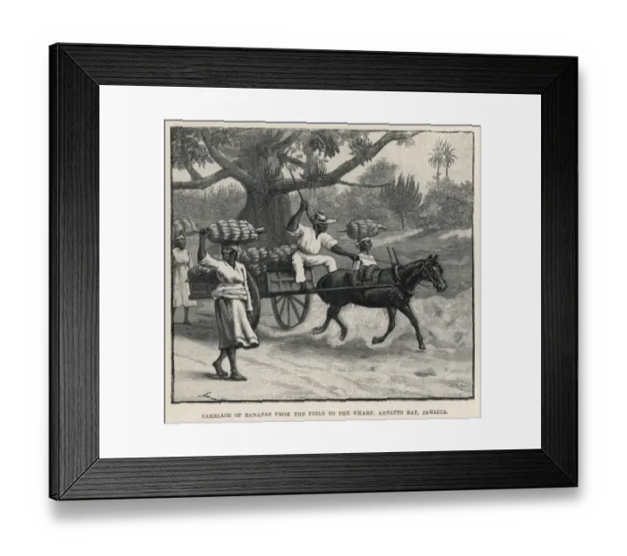 Framed Print : Fruit / Bananas Framed Print : Fruit / Bananas