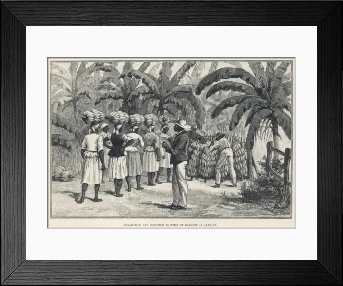 Framed Print : Fruit / Bananas Framed Print : Fruit / Bananas