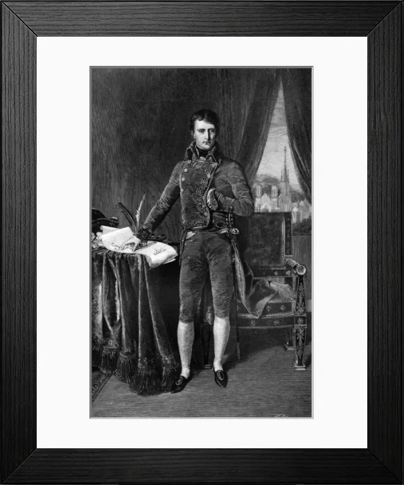 Framed Print : Napoleon / First Consul Framed Print : Napoleon / First Consul