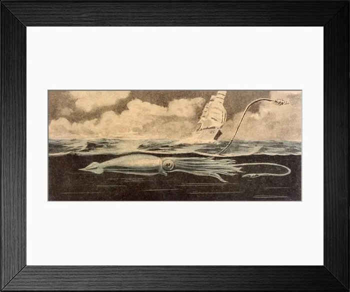 Framed Print : Folklore / Sea Serpent Framed Print : Folklore / Sea Serpent