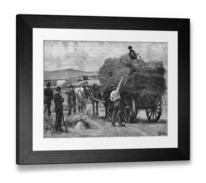 Framed Print : Events / Ireland Framed Print : Events / Ireland