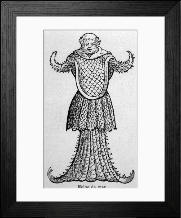 Framed Print : Folklore / Sea Serpent Framed Print : Folklore / Sea Serpent
