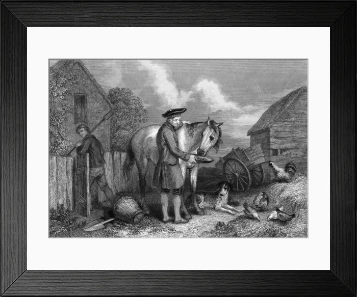 Framed Print : A Scottish farmer feeding oats to his horse Framed Print : A Scottish farmer feeding oats to his horse