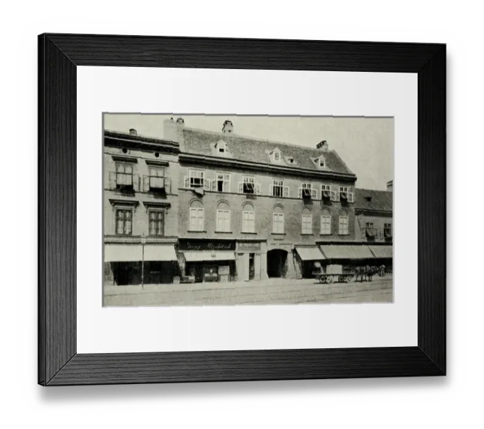 Framed Print : Cw Gluck / Home / Vienna Framed Print : Cw Gluck / Home / Vienna
