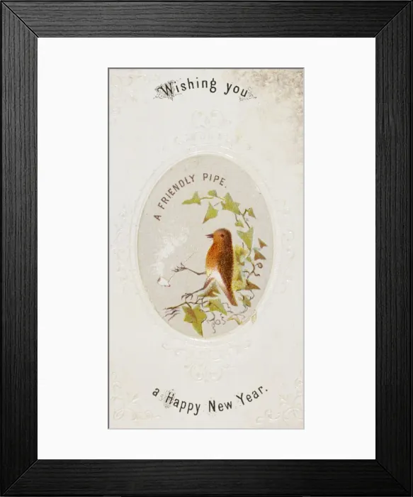 Framed Print : Robin with a Pipe Framed Print : Robin with a Pipe