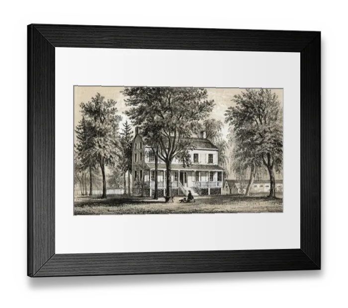 Framed Print : New York / Harlem / Bayard Framed Print : New York / Harlem / Bayard