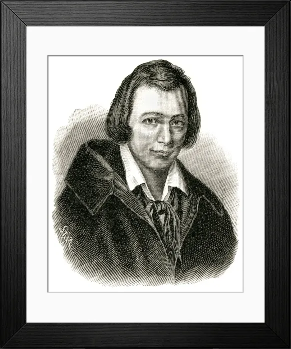 Framed Print : Heinrich Heine / Stxa Framed Print : Heinrich Heine / Stxa