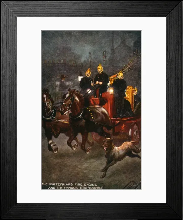 Framed Print : Firemens Dog Baron Framed Print : Firemens Dog Baron