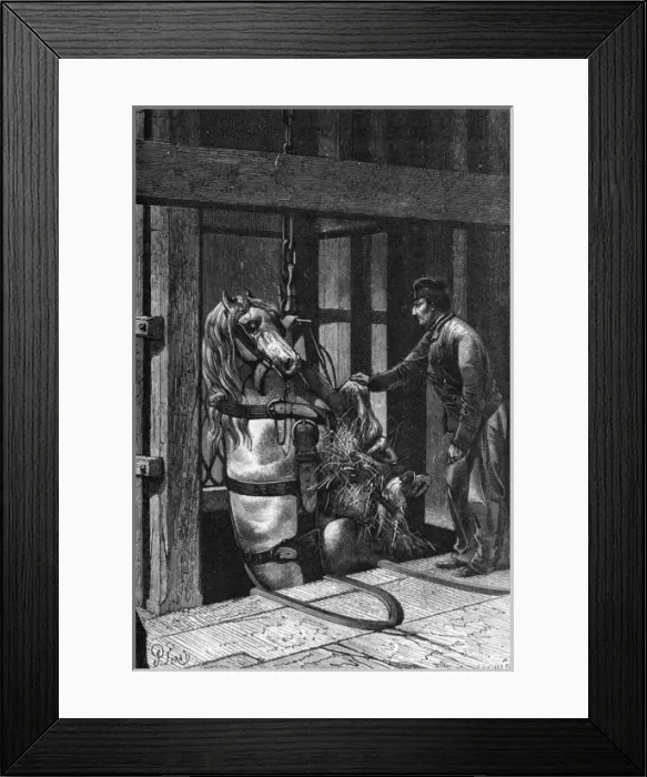 Framed Print : Coal  /  Horse  /  Le Creusot