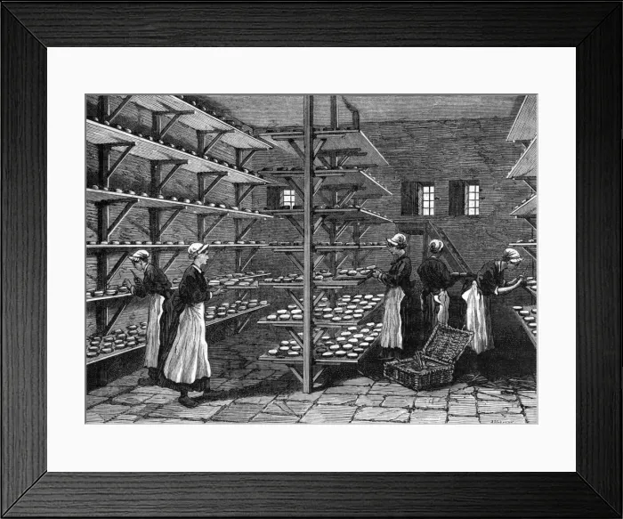 Framed Print : Making Camembert 1870 Framed Print : Making Camembert 1870