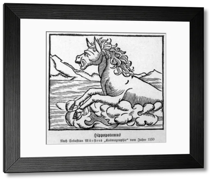 Framed Print : Hippopotamus 1550 Framed Print : Hippopotamus 1550