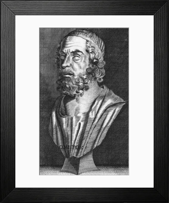 Framed Print : Homer / Bust / Phinn Framed Print : Homer / Bust / Phinn