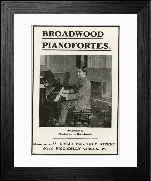 Framed Print : Emo Dohnanyi / Musician Framed Print : Emo Dohnanyi / Musician