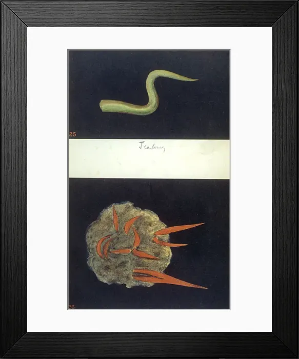 Framed Print : Thoughtforms - 25, 26 Framed Print : Thoughtforms - 25, 26