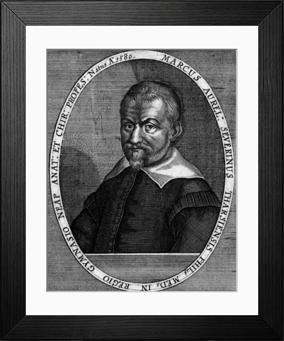Framed Print : Marcus Aurelius Severino Framed Print : Marcus Aurelius Severino